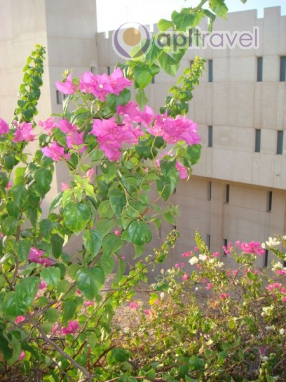 Inside view of the hotel