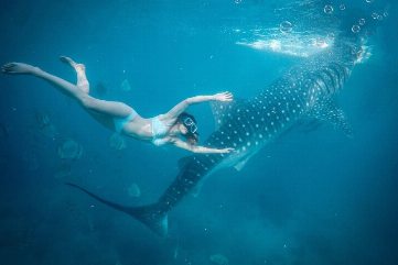 №165 Нью-Йорк, Мыс Кана́верал, Нассау, Оушен Кей Марине резерв, Нью-Йорк - Туристический оператор APL Travel (АПЛ Тревел)