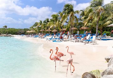 Барбадос, Гренада, о. Бонэйр, Аруба, Тринидад и Тобаго в феврале 2022 - Туристический оператор APL Travel (АПЛ Тревел)
