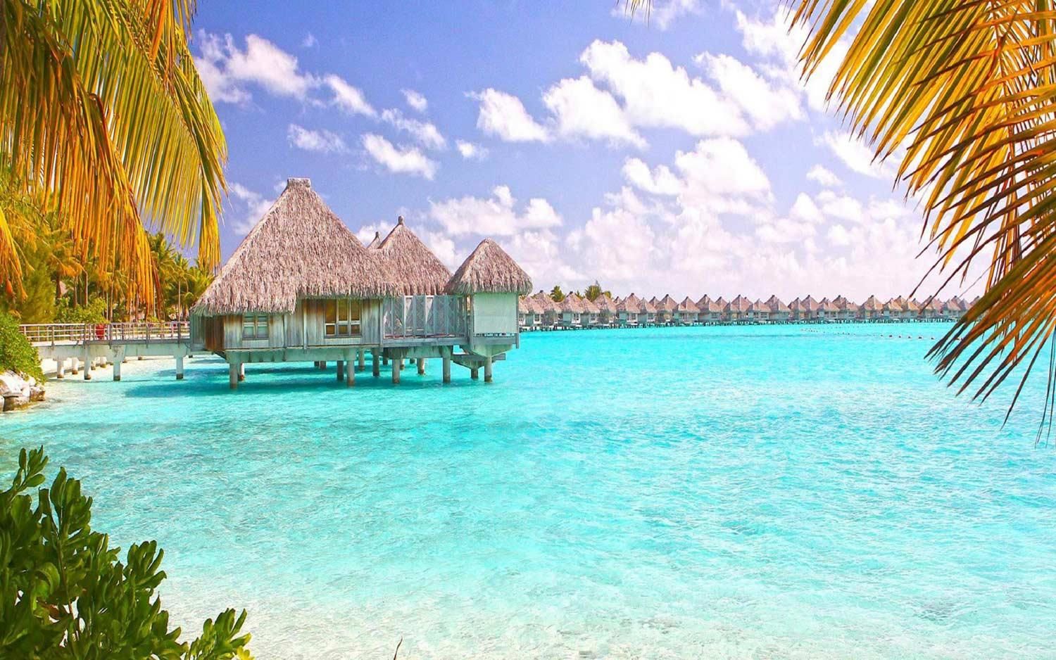 Захватывающее путешествие по Америке: Майами + Багамы - Туристический оператор APL Travel (АПЛ Тревел)
