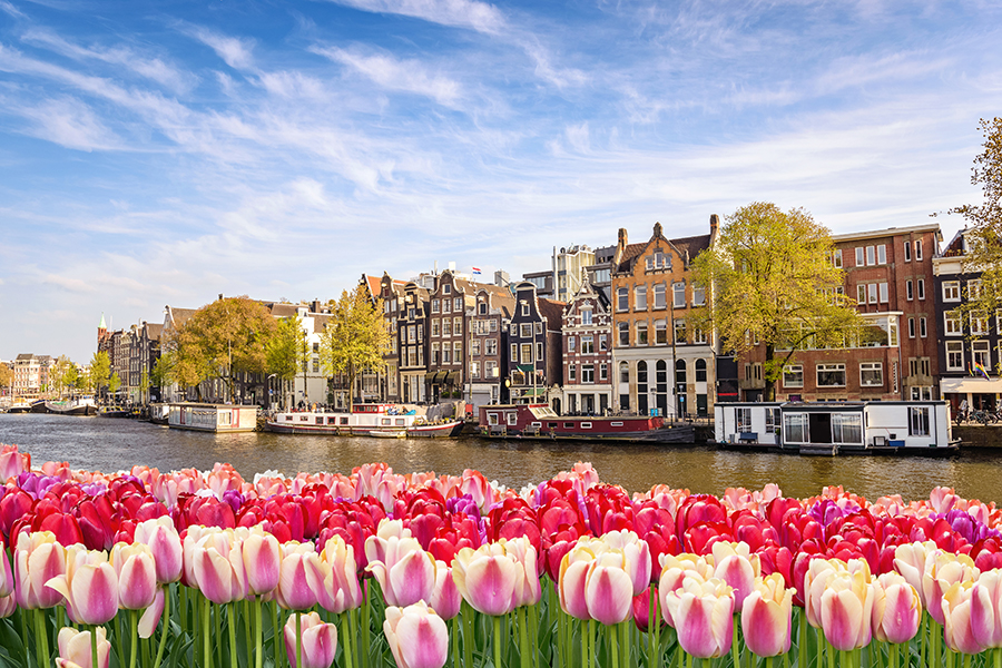 Фестиваль тюльпанов в Амстердаме - Туристический оператор APL Travel (АПЛ Тревел)