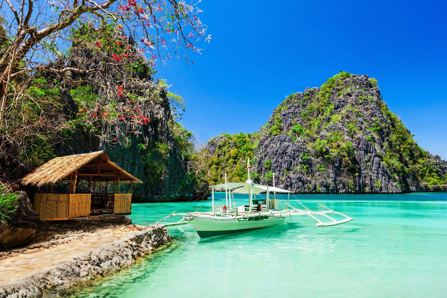 Гонконг + о. Боракай на 8 марта - Туристический оператор APL Travel (АПЛ Тревел)