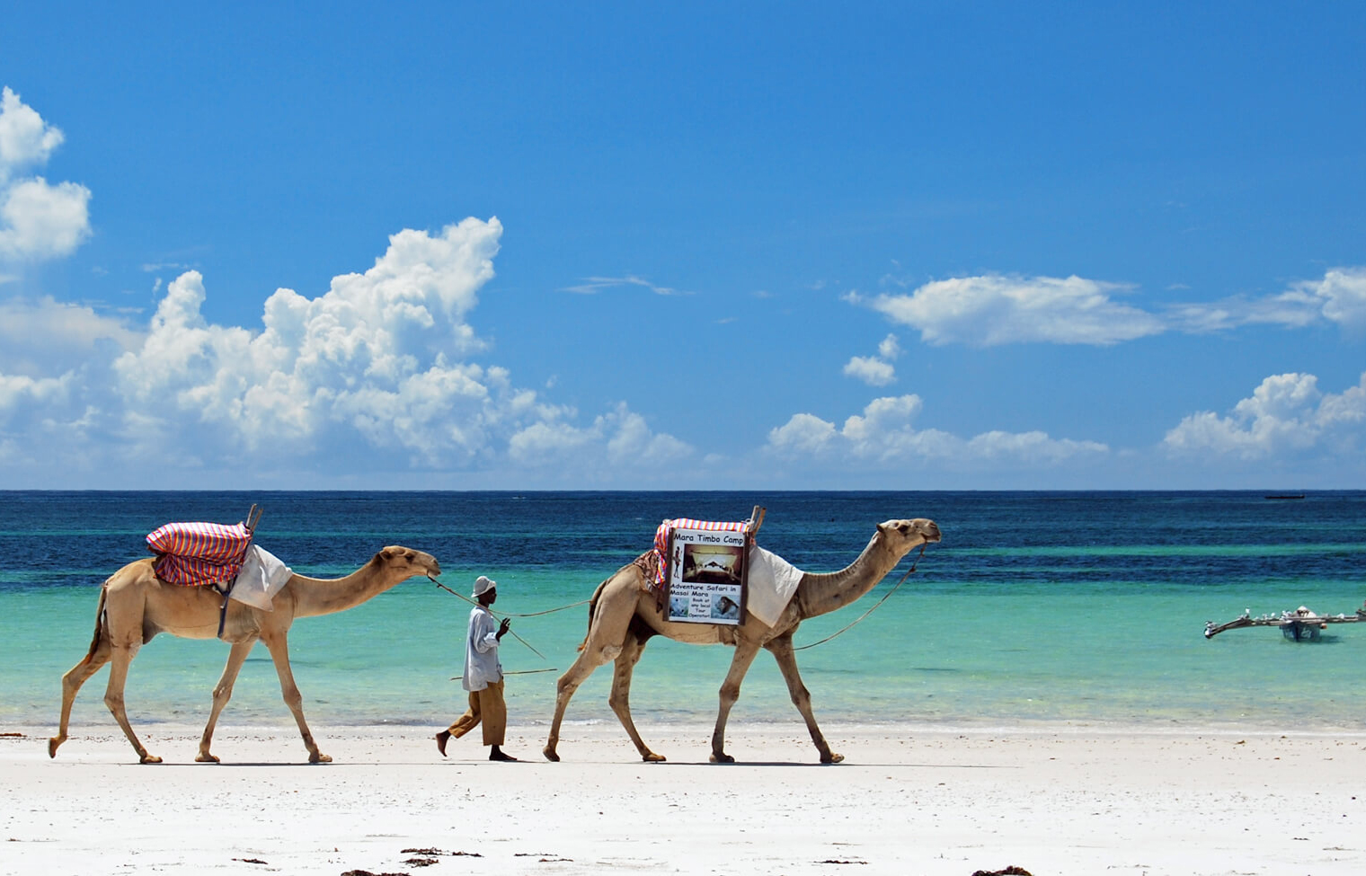 Кения + сафари в подарок - Туристический оператор APL Travel (АПЛ Тревел)