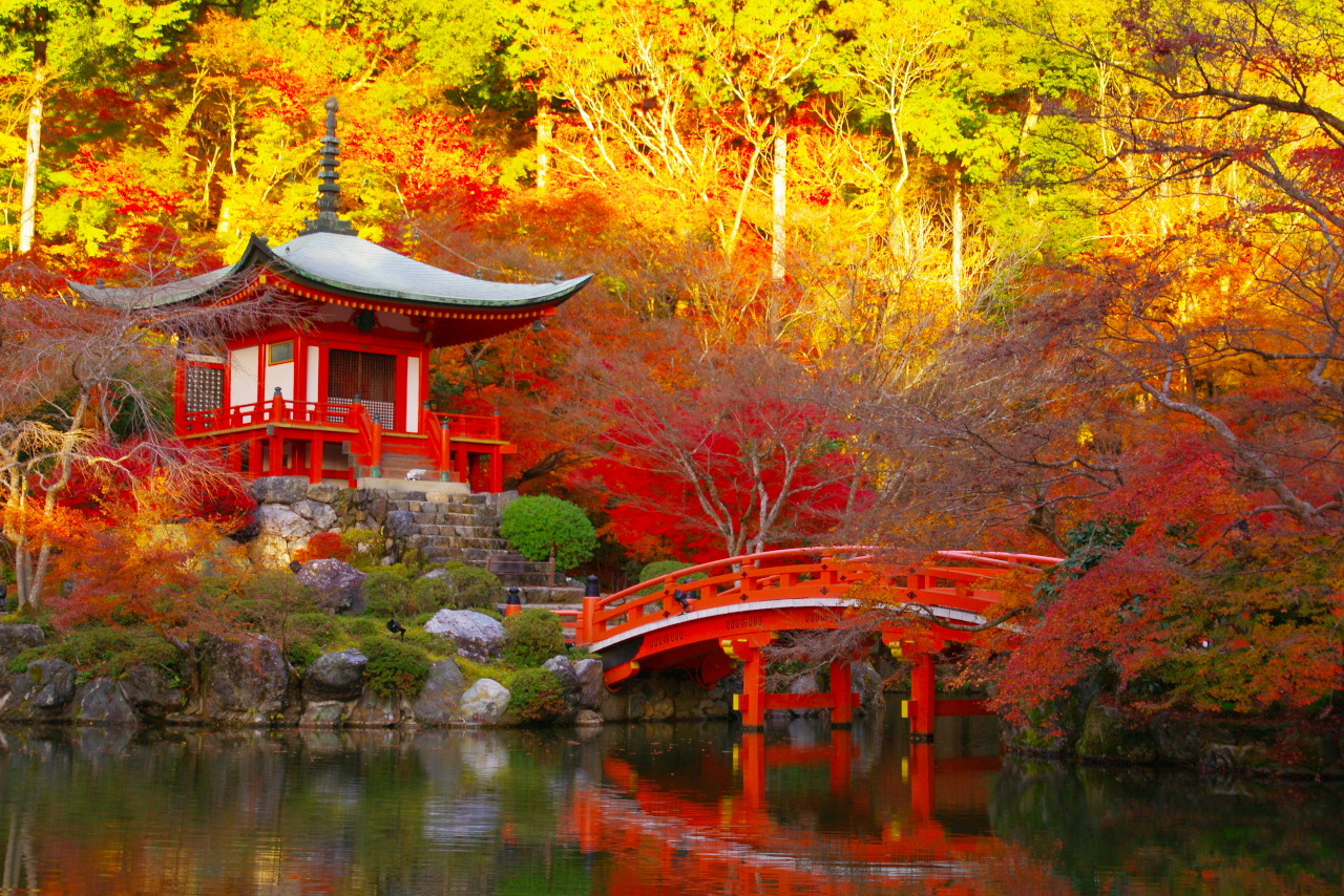 Охота за красными клёнами в круизе по Японии: Гонконг, Фукуока, Кагосима, Нагасаки - Туристический оператор APL Travel (АПЛ Тревел)