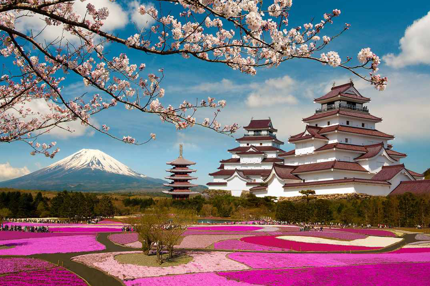 Большое путешествие по Азии: Гонконг, Китай, Южная Корея, Япония - Туристический оператор APL Travel (АПЛ Тревел)