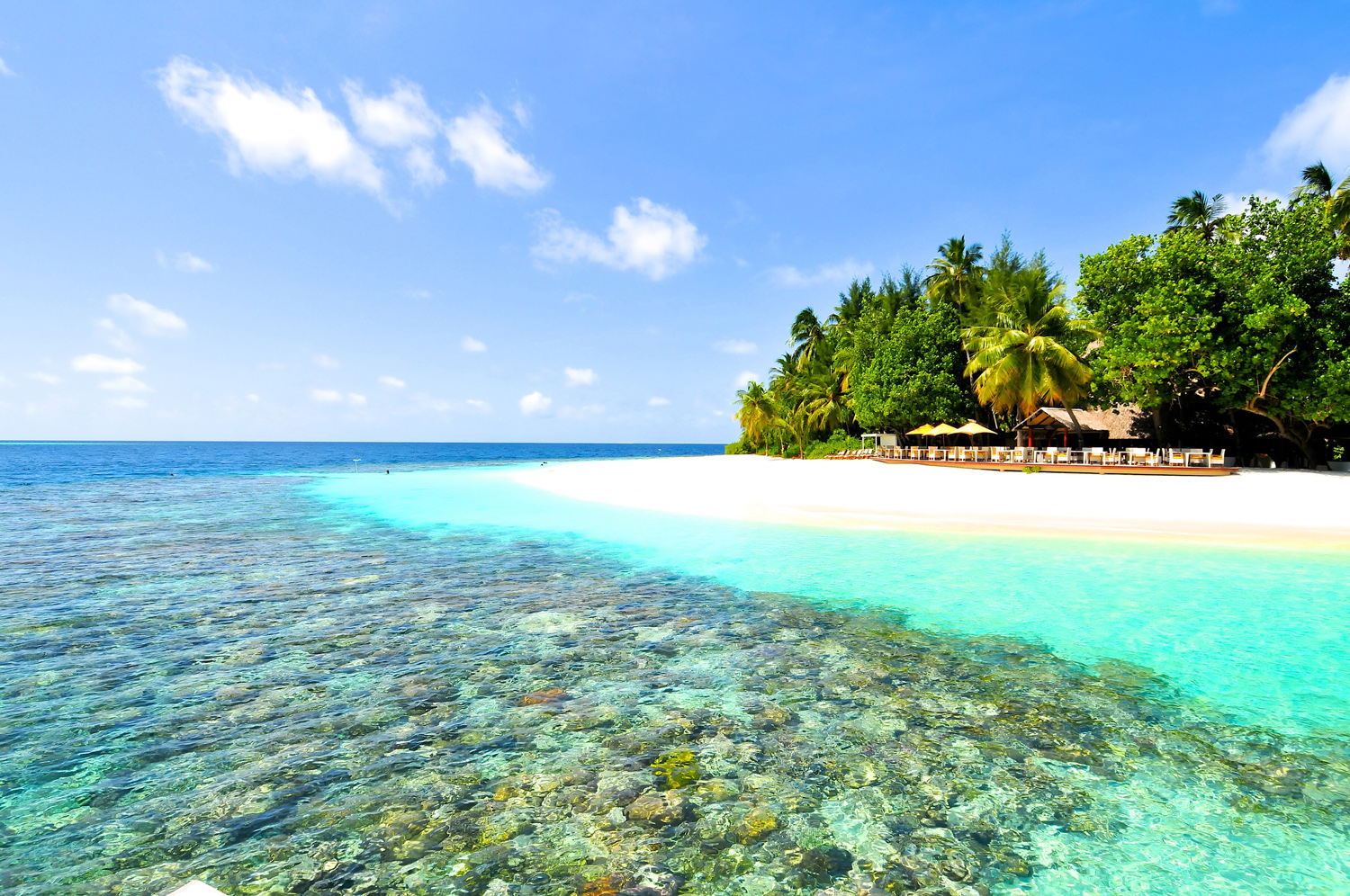 Захватывающее путешествие по Азии: Индия, Мальдивы, Шри-Ланка - Туристический оператор APL Travel (АПЛ Тревел)