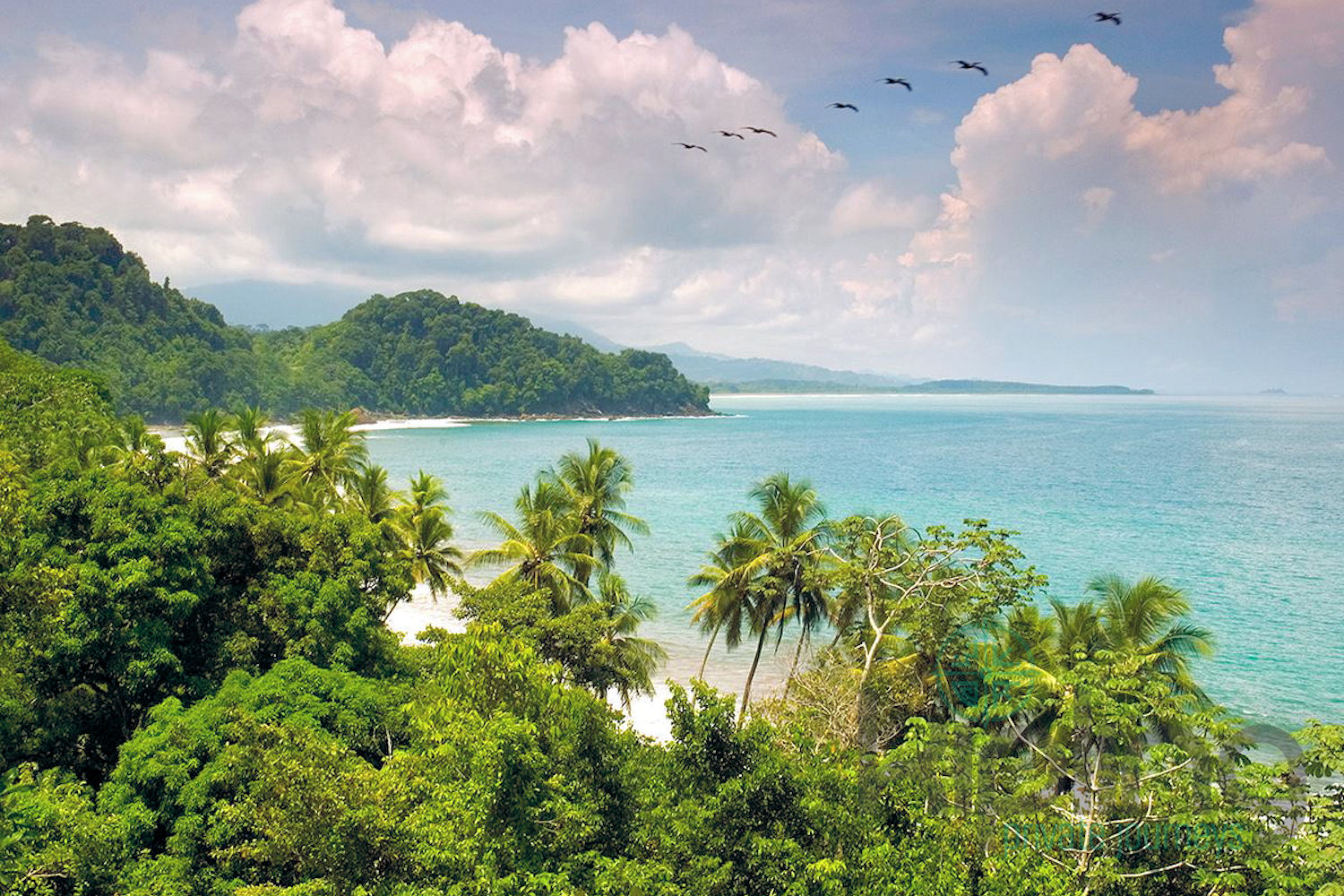 Коста-Рика на Новый год - Туристический оператор APL Travel (АПЛ Тревел)