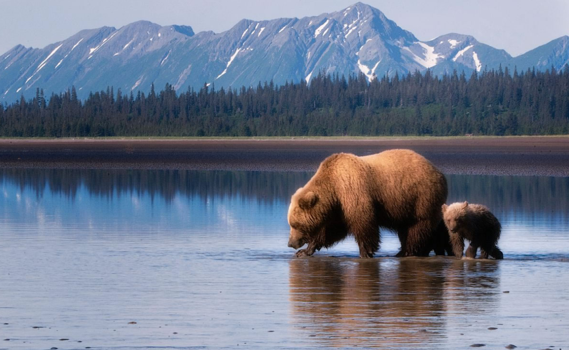 Захватывающее путешествие из Канады в США: Ванкувер, Аляска, Сиэтл - Туристический оператор APL Travel (АПЛ Тревел)