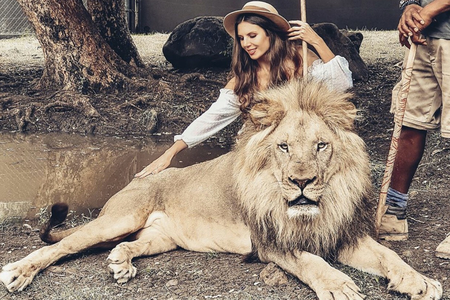 Маврикий + прогулка со львами - Туристический оператор APL Travel (АПЛ Тревел)