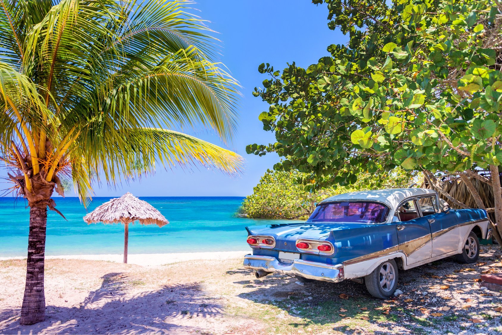 Захватывающее путешествие по Америке: Майами, Гранд-Терк, Багамы - Туристический оператор APL Travel (АПЛ Тревел)