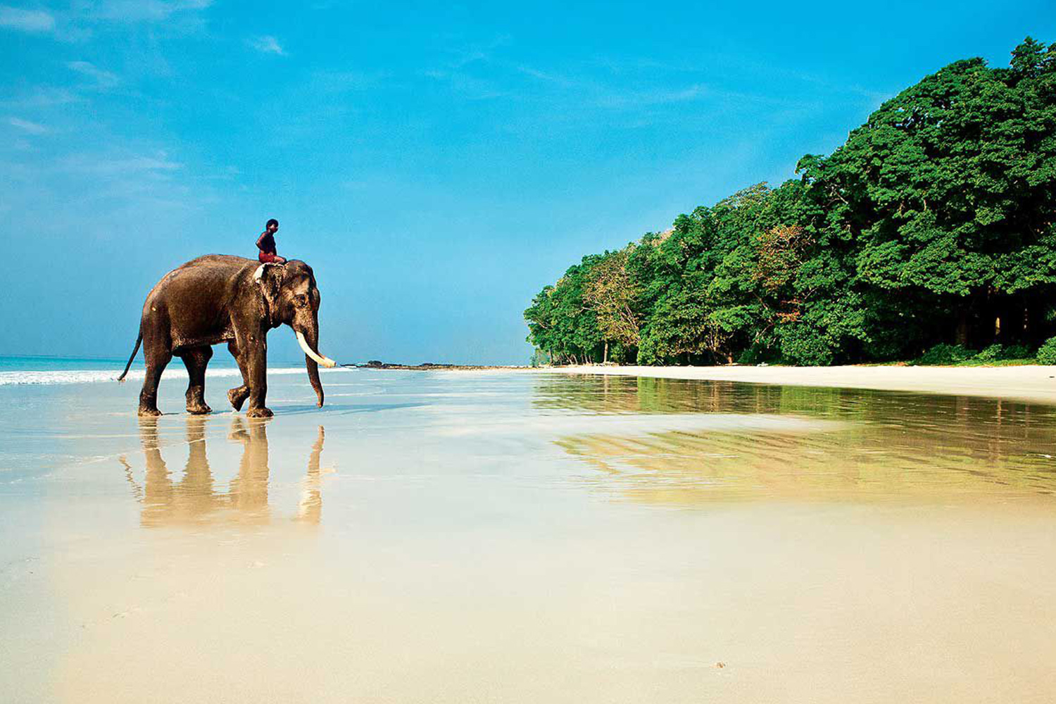 Захватывающее путешествие по Индийскому океану на День Влюбленных: Мальдивы, Шри-Ланка, Индия - Туристический оператор APL Travel (АПЛ Тревел)