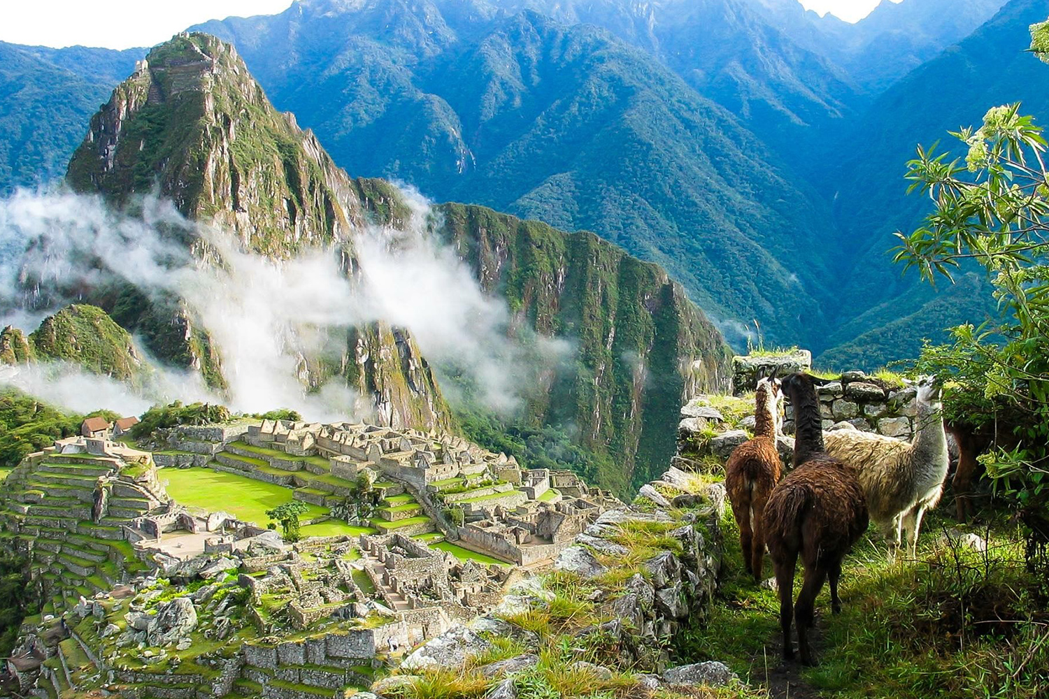 Мачу-Пикчу + озеро Титикака в Перу - Туристический оператор APL Travel (АПЛ Тревел)