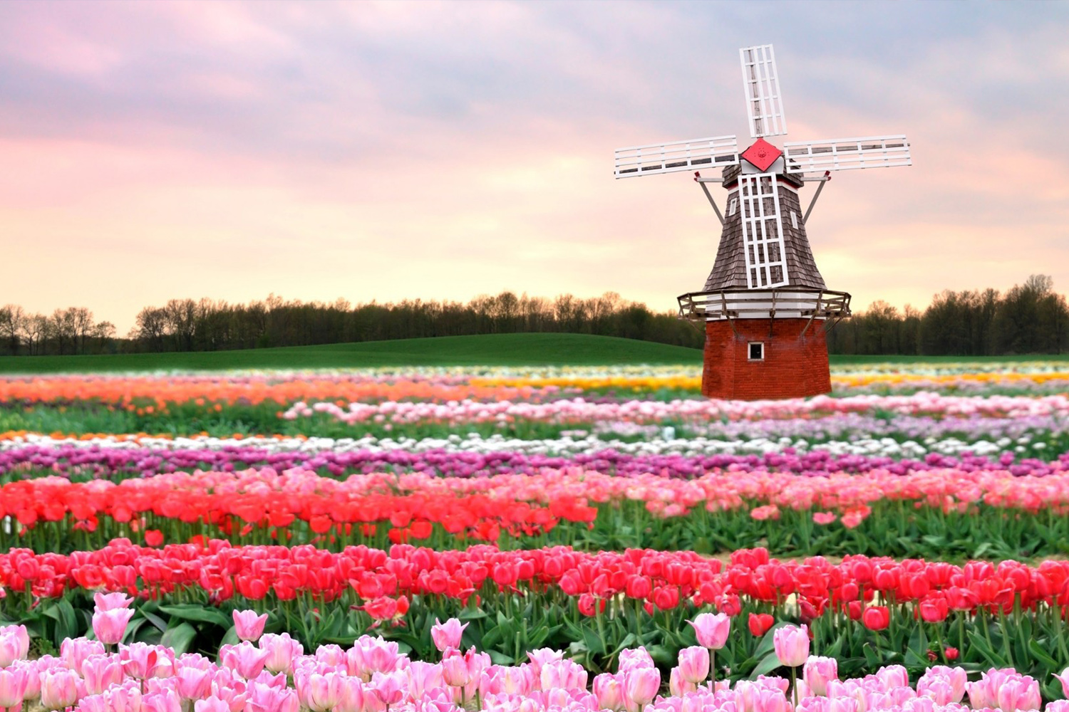 Дюссельдорф + Брюссель + парк тюльпанов Кёкенхоф  - Туристический оператор APL Travel (АПЛ Тревел)